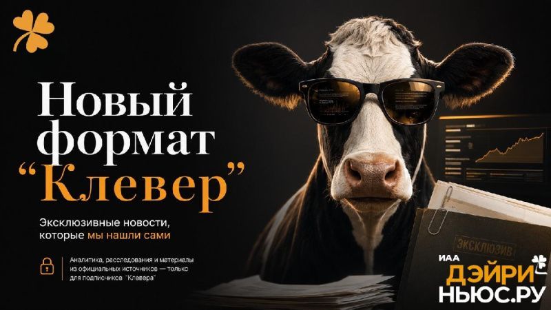 «Клевер»: эксклюзив из первых рук  