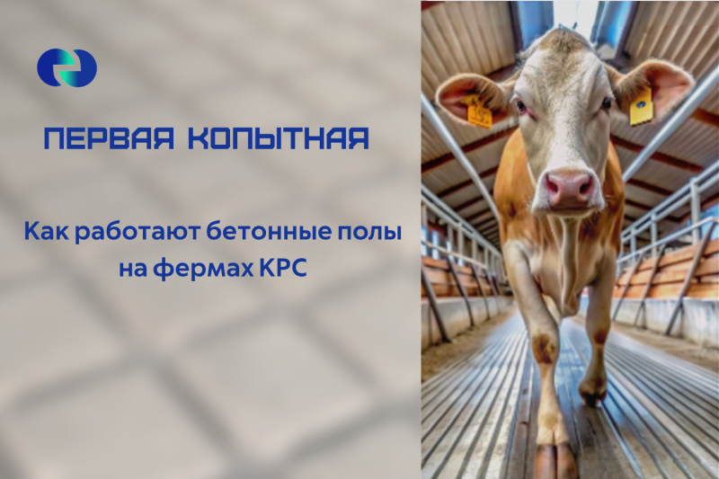 Первая копытная