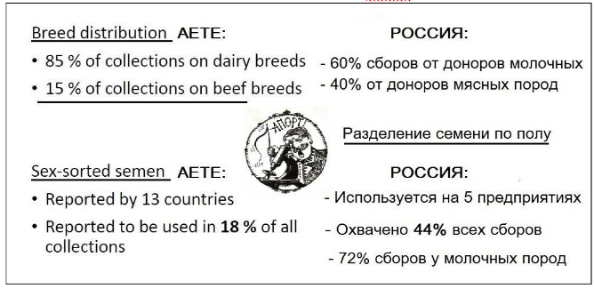ввв.png ввв.png