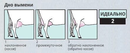 новые-параметры-1.jpg новые-параметры-1.jpg