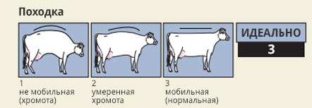 новые-параметры-3.jpg новые-параметры-3.jpg