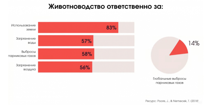 Безымянный.png