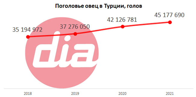 Овцы.png