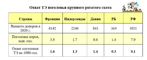 212112.jpg 212112.jpg