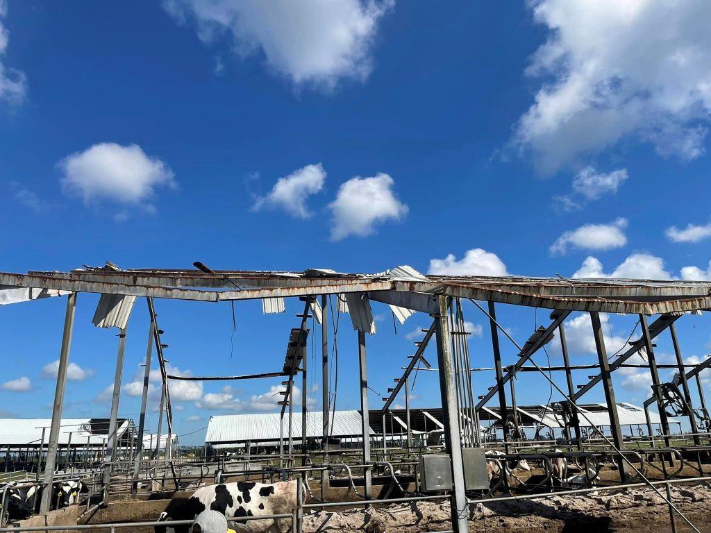 Dakin Dairy Farms lost more than 250 cows2.jpg Dakin Dairy Farms lost more than 250 cows2.jpg