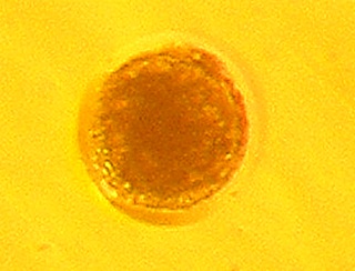 image26.png image26.png