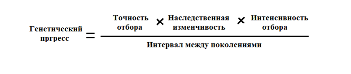 123.png