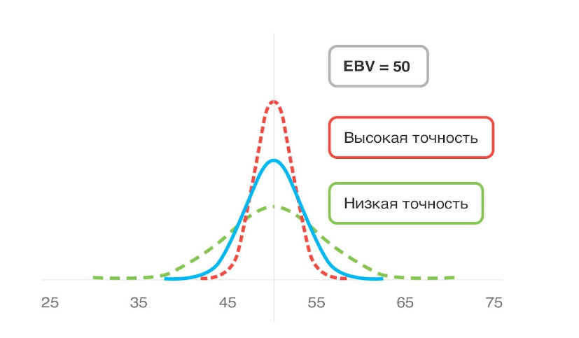 Распределение точности оценок племенной ценности.png Распределение точности оценок племенной ценности.png