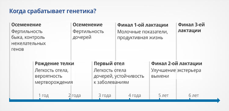 Graph-1.jpg