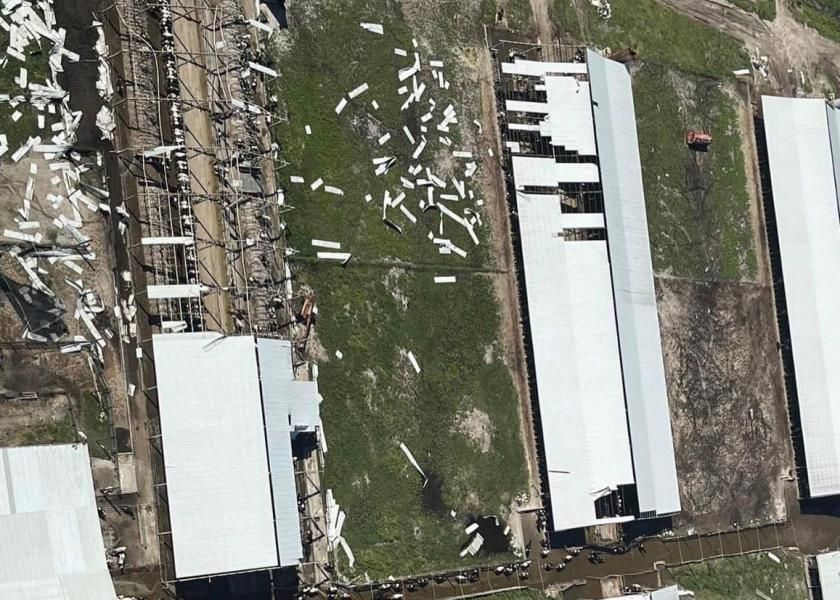 Dakin Dairy Farms lost more than 250 cows.jpg Dakin Dairy Farms lost more than 250 cows.jpg